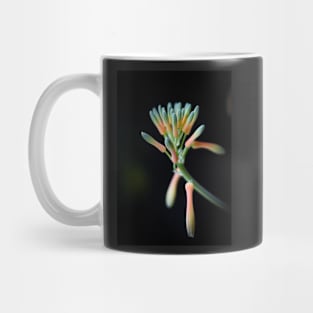 Aloe Vera Flower Mug